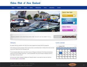 Web Design by pb for BCM NZ Ltd | Design: #1047066