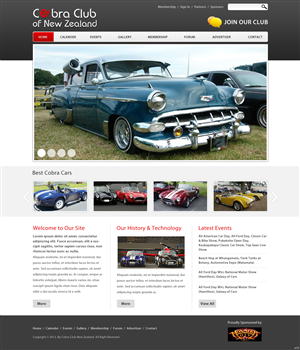 Web Design by pb for BCM NZ Ltd | Design: #1047069