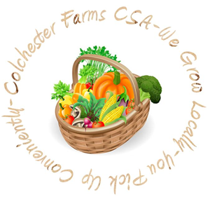 Logo Design by Nevdaw for this project | Design #1069225
