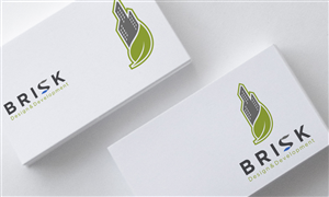 Logo Design by Armir.B for Brisk Pty Ltd | Design: #3905618