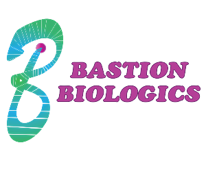 Logo Design by ashishvnsinghania