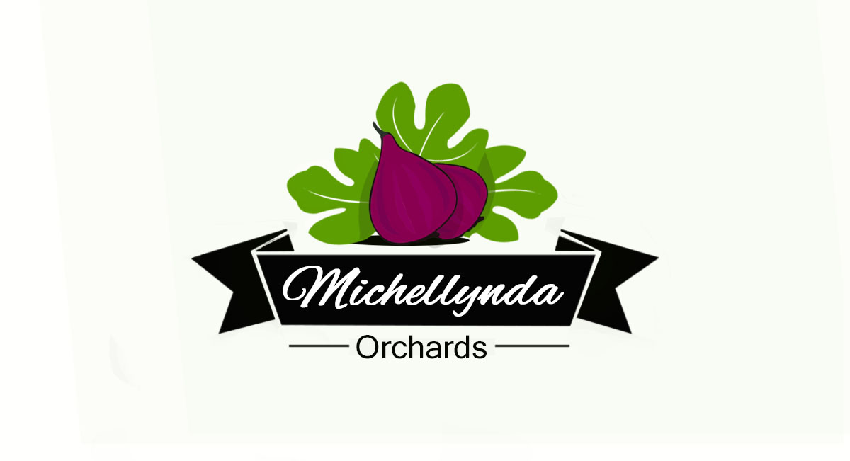 Logo-Design von Tlvs Murthy für Ranch at 42 | Design #3916069