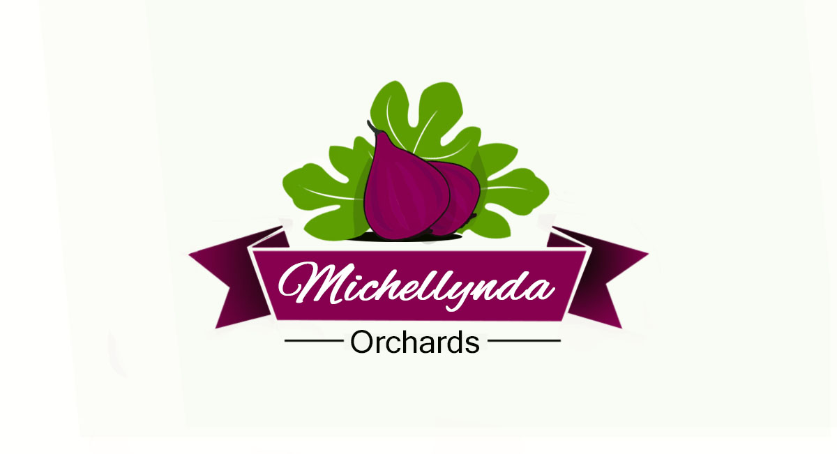 Logo Design by Tlvs Murthy for Ranch at 42 | Design #3916072