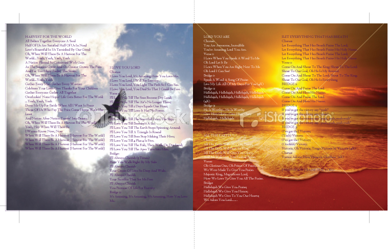 Diseño de Portada de CD por elpisk para este proyecto | Diseño #1054942