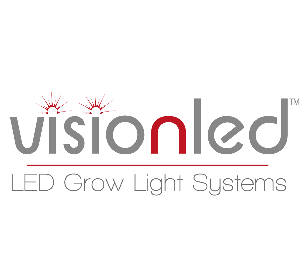 Logo Design by Gyorgyovich for ViSiON Global | Design #1113627