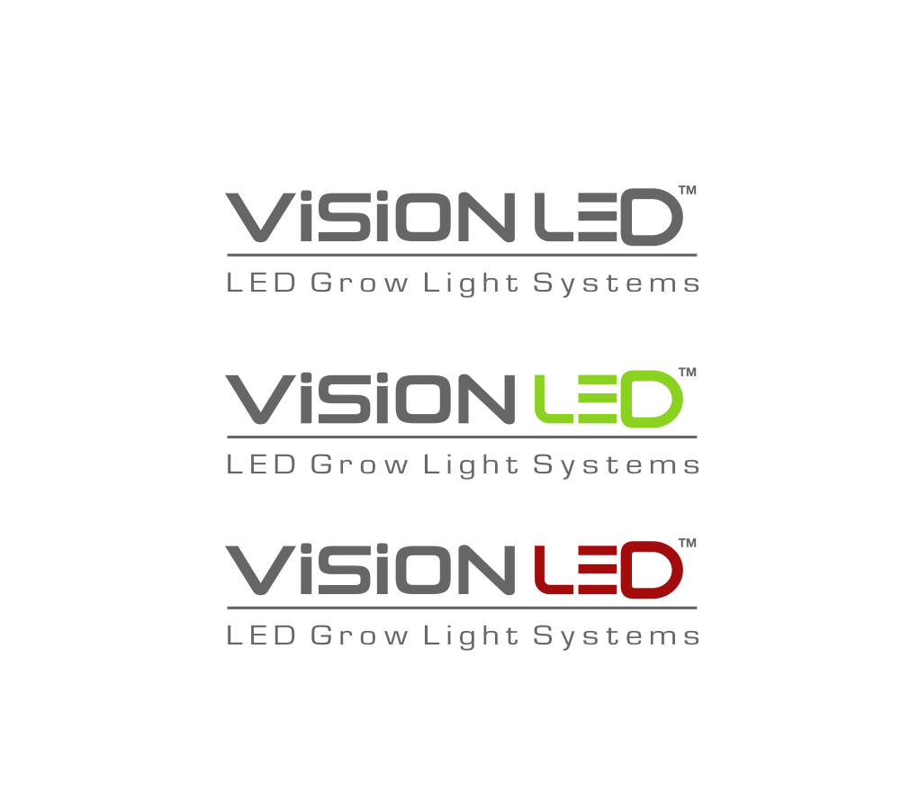 Logo-Design von Atemolesky für ViSiON Global | Design #1102036