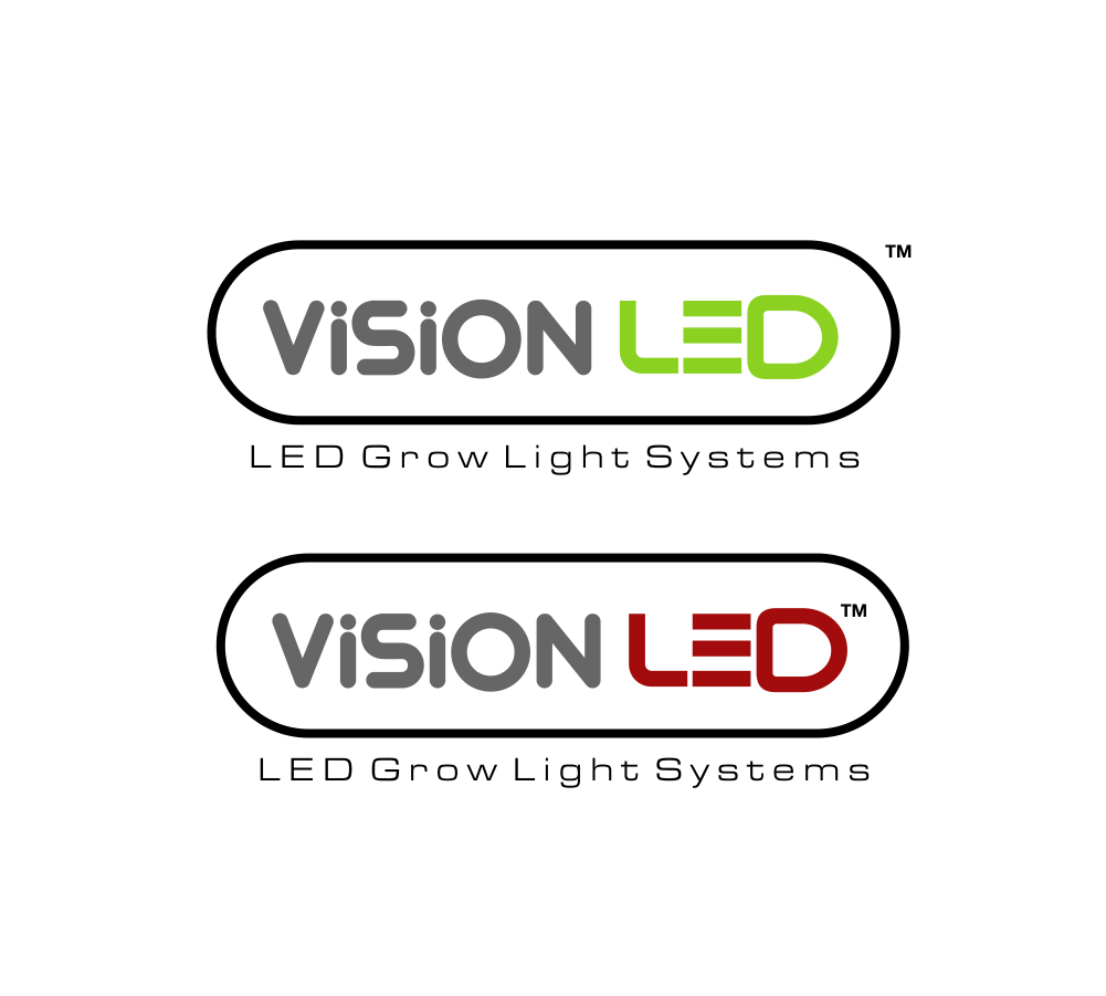 Logo-Design von Atemolesky für ViSiON Global | Design #1104483