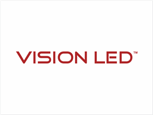 Logo Design by ninisdesign for ViSiON Global | Design: #1054528