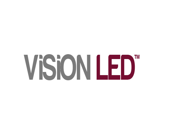 Logo Design by vness286 for ViSiON Global | Design #1073411