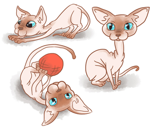 Illustration-Design von Camilladoodles für dieses Projekt | Design #4687946