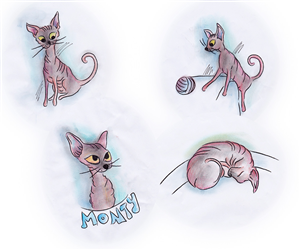 Illustration-Design von LeslieAnn für dieses Projekt | Design #4710436
