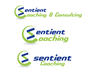 Logo Design by anshtoyj for this project | Design #3943191
