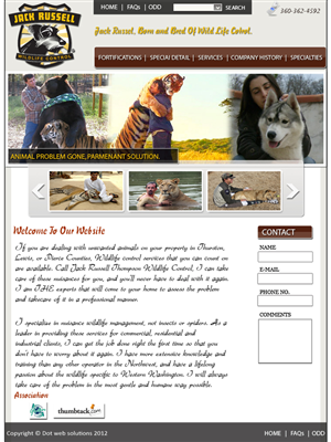Web Design by Zohair Shah