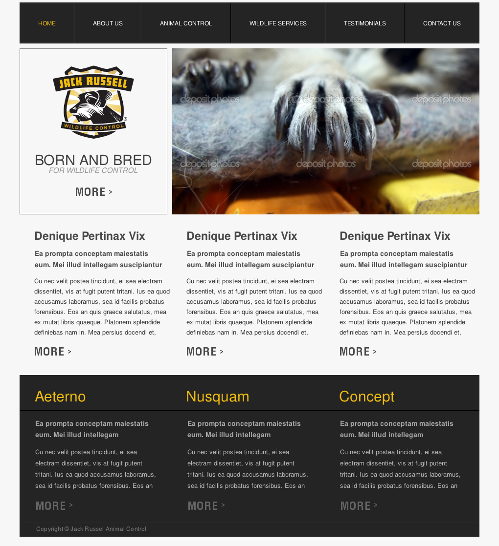Web Design by Relativiteit for Jack Russell Wildlife Control | Design #1069121