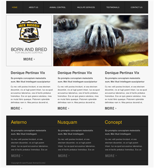 Web Design by Relativiteit for Jack Russell Wildlife Control | Design: #1069121
