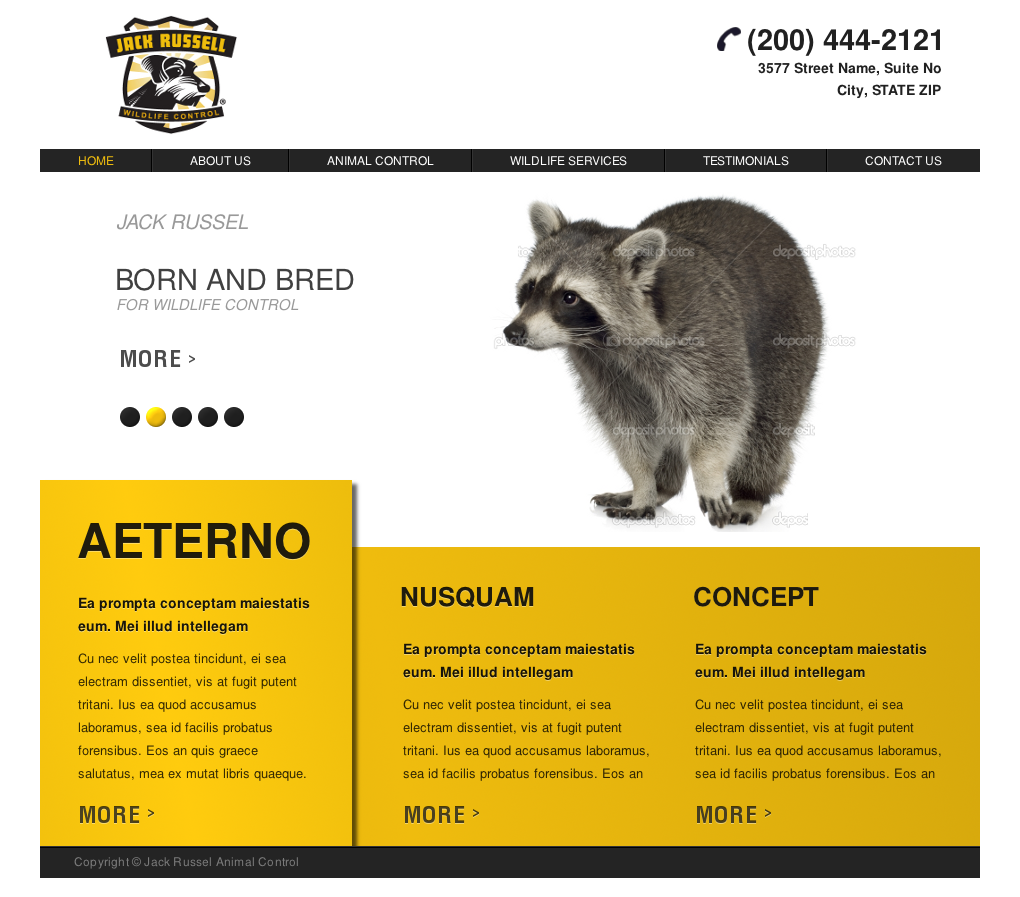 Web Design by Relativiteit for Jack Russell Wildlife Control | Design #1069469