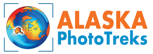 Logo Design by alessandroevge for Alaska Photo Treks | Design: #3904206
