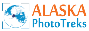 Logo Design by alessandroevge for Alaska Photo Treks | Design: #3904218