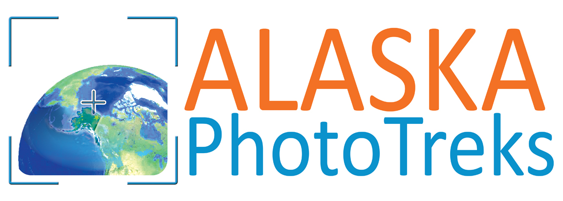 Logo Design by alessandroevge for Alaska Photo Treks | Design #3904245