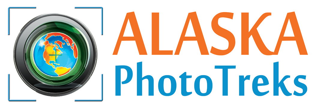 Logo-Design von alessandroevge für Alaska Photo Treks | Design #3904253