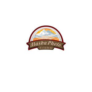 Logo Design by instudio for Alaska Photo Treks | Design: #3905093