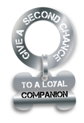 Logo Design by Eyeball for this project | Design #129437