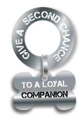 Logo Design by Eyeball for this project | Design: #129437