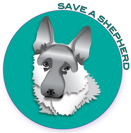 Logo Design by Eyeball for this project | Design #129444