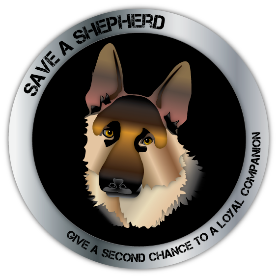 Logo Design by Eyeball for this project | Design #129575