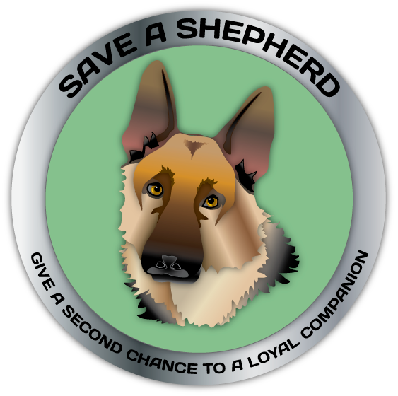 Logo Design by Eyeball for this project | Design #130523