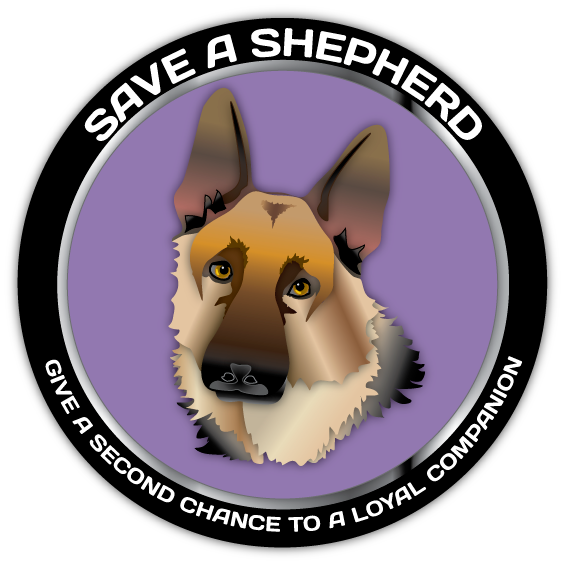 Logo Design by Eyeball for this project | Design #130528