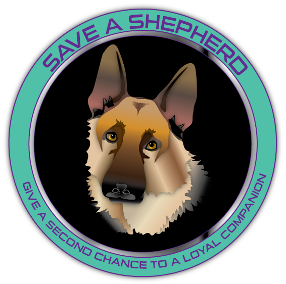 Logo Design by Eyeball for this project | Design #130970