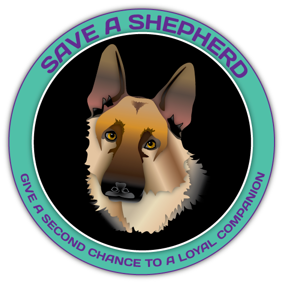 Diseño de Logo por Eyeball para este proyecto | Diseño #130976