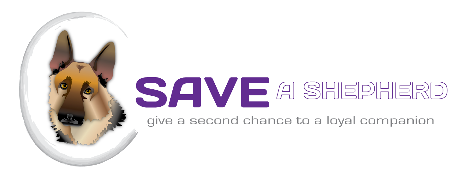 Logo Design by Eyeball for this project | Design #132244