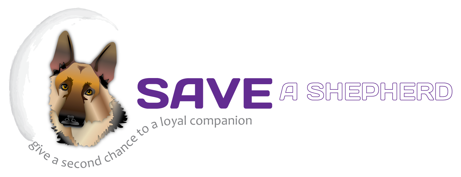 Logo Design by Eyeball for this project | Design #132248