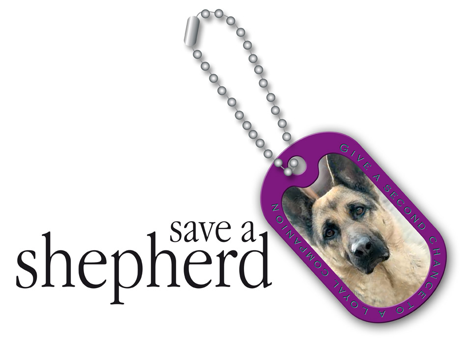 Logo Design by Paula March for this project | Design #134740