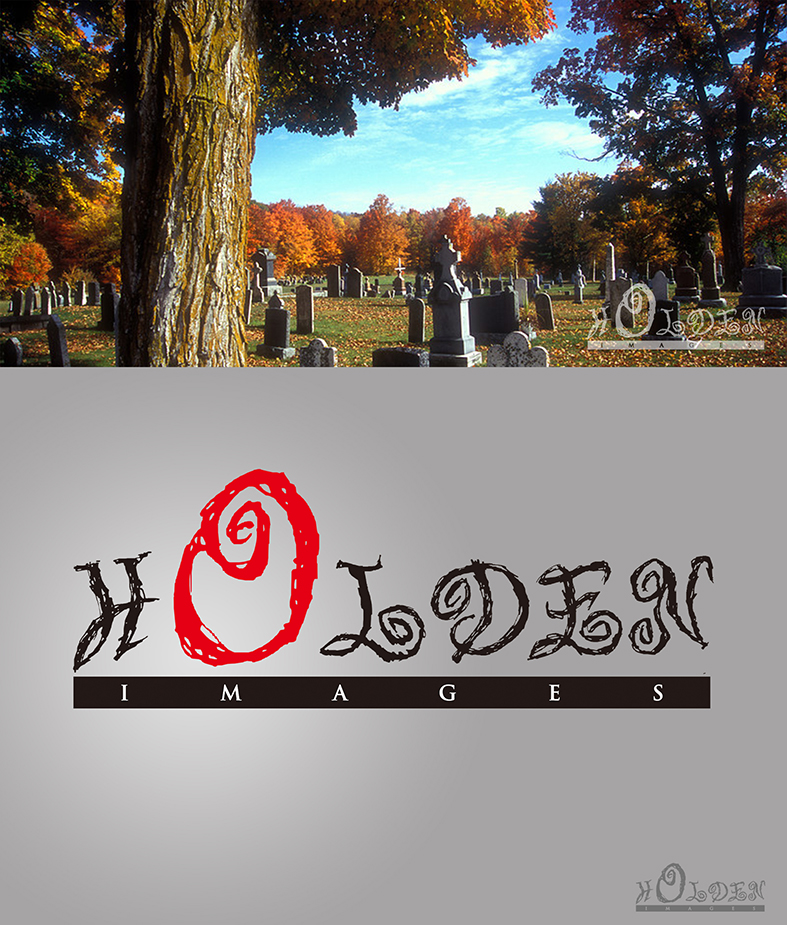 Diseño de Logo por Graphicinstinc para Holden Images | Diseño #1048776