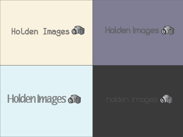 Diseño de Logo por Valentine para Holden Images | Diseño #1044391