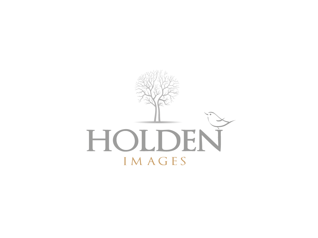 Logo-Design von Pv_999 für Holden Images | Design #1039686