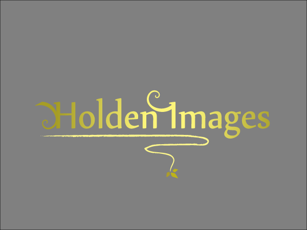 Diseño de Logo por Mary Papakati para Holden Images | Diseño #1041216