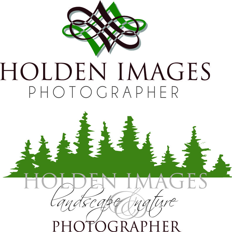 Logo Design by Sandro for Holden Images | Design #1055454