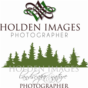 Logo Design by Sandro for Holden Images | Design #1055454