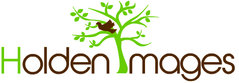 Logo-Design von geniebot für Holden Images | Design #1052685