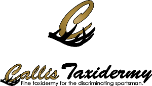 Logo Design by Fiddlinnita