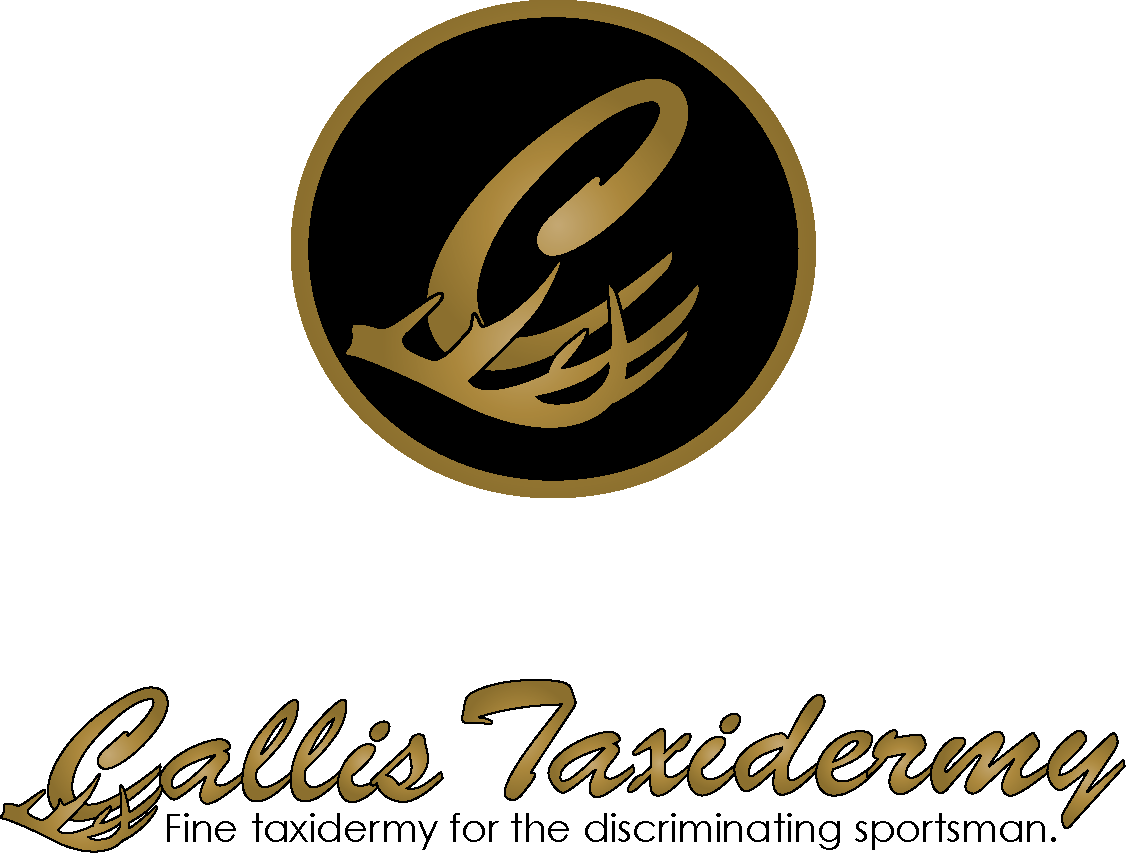 Design de Logo par Fiddlinnita pour ce projet | Design #1040851