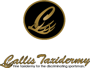 Design de Logo par Fiddlinnita pour ce projet | Design #1040851
