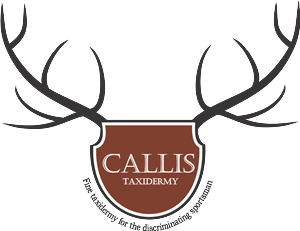 Logo Design by luzstellaholguin for this project | Design: #1037389