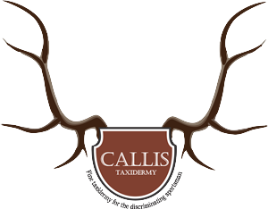 Design de Logo par luzstellaholguin pour ce projet | Design #1037592
