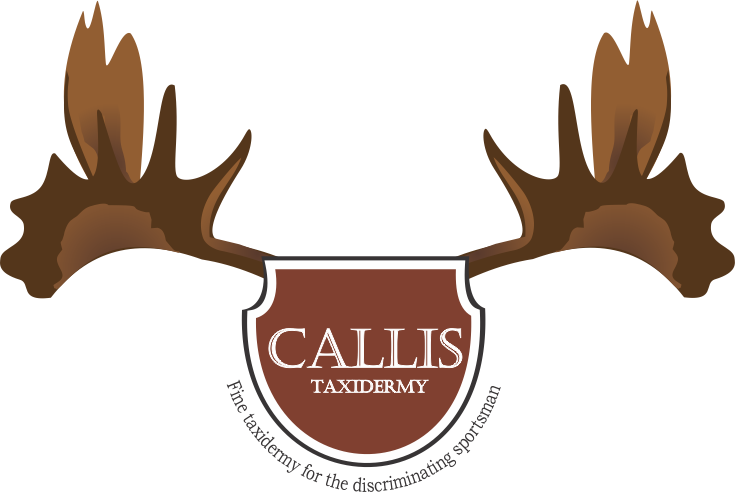 Logo Design by luzstellaholguin for this project | Design #1037858