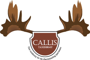 Logo Design by luzstellaholguin for this project | Design: #1037858